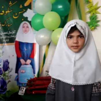 جشن شکوفه ها
